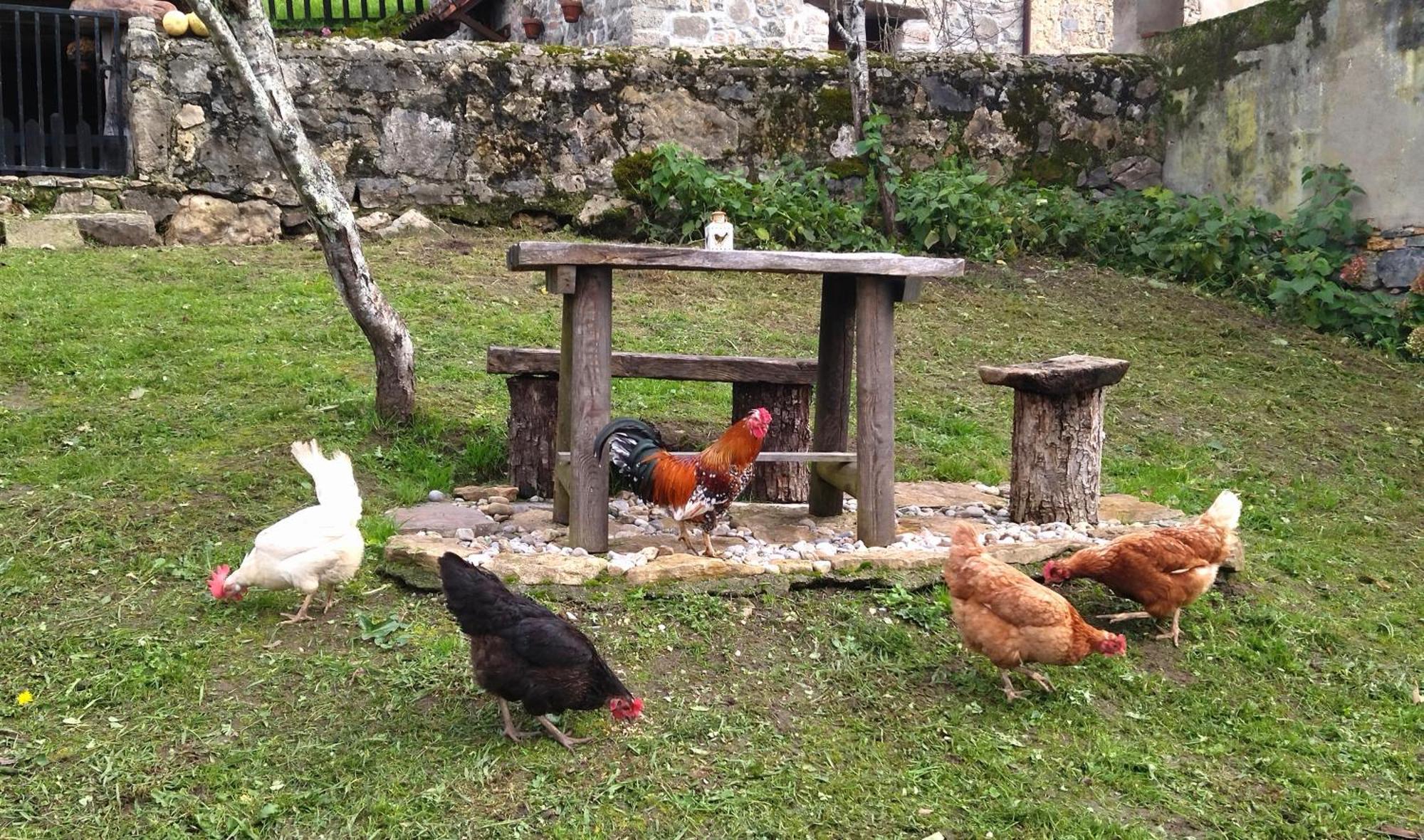 Casa Rural El Cotu En Onís Zewnętrze zdjęcie